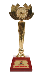Cup 11